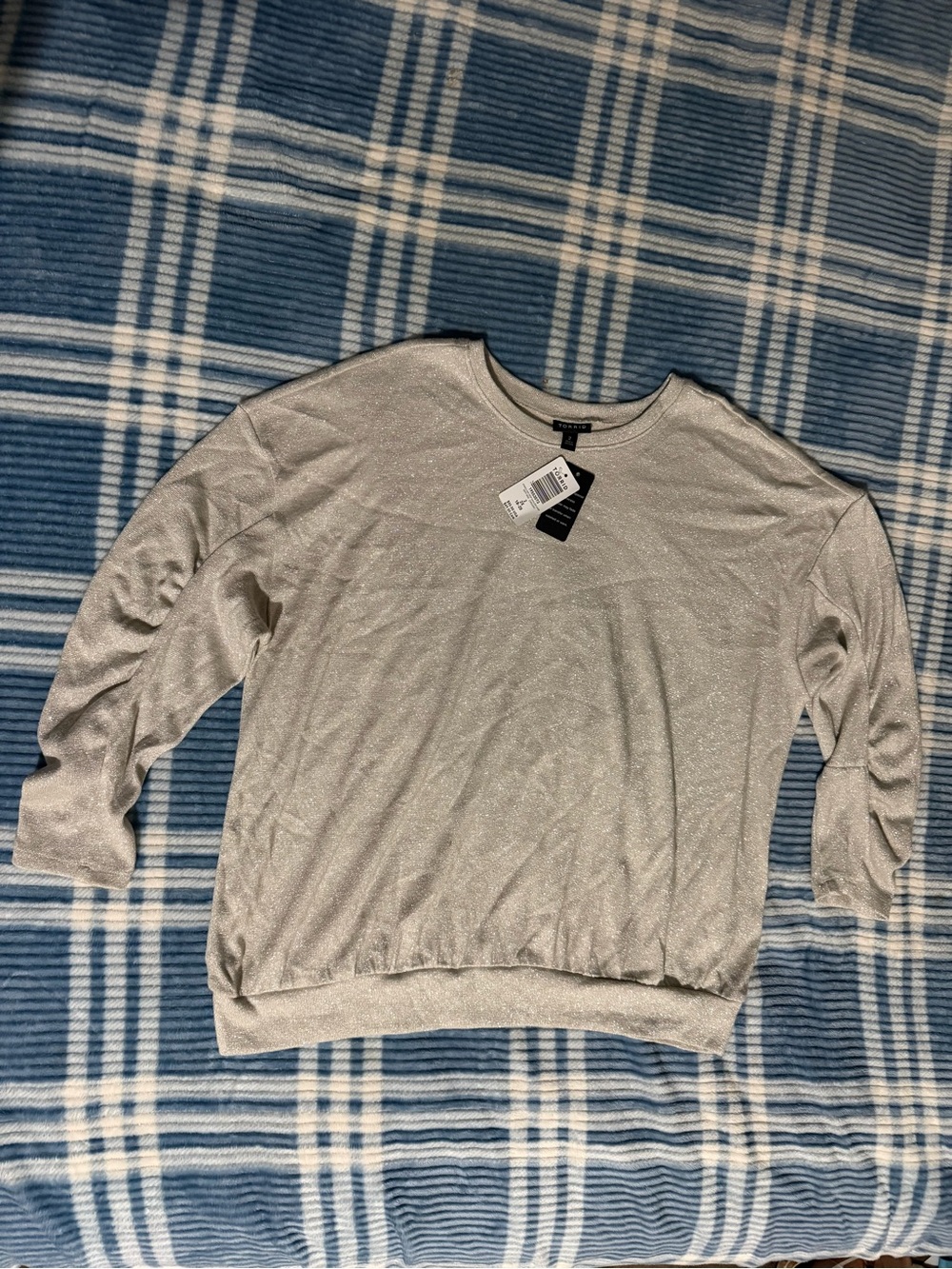 torrid Sparkle Crewneck Sweater - Light Silver
